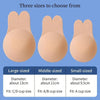 Silicone Adhesive Push-Up Bra with Reusable Breast Lift Tape in three sizes.