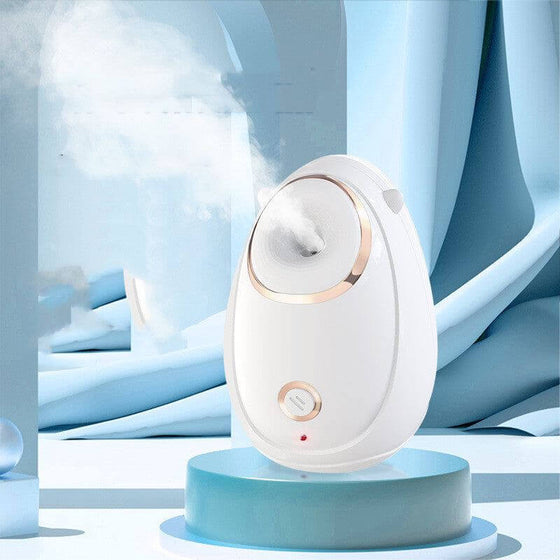 Face Massage Hot Spray Steaming Instrument for Home Facial Spa Treatment