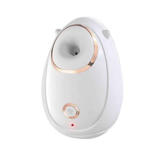 Home Facial Beauty Instrument for Face Massage, oval-shaped SBS material, hot spray steaming, small or large fog options.